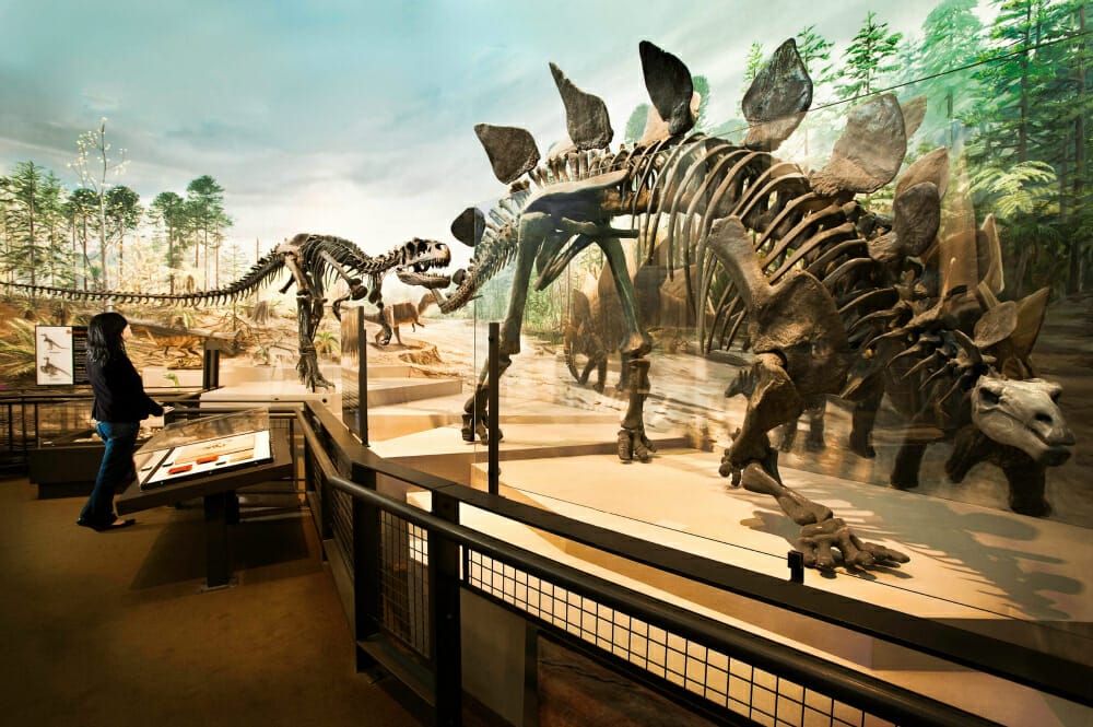 seattle area museums