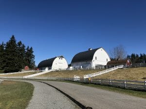 kelsey creek farm