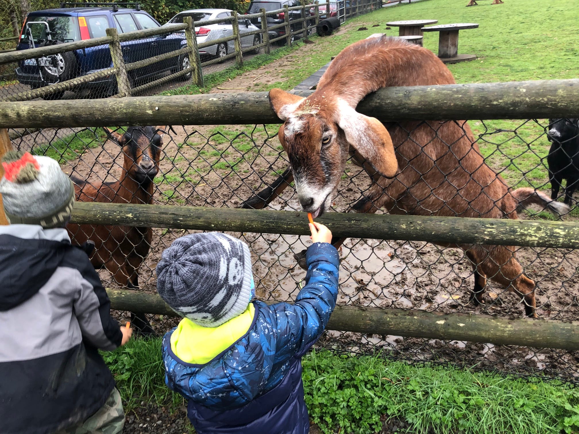take kids to a farm