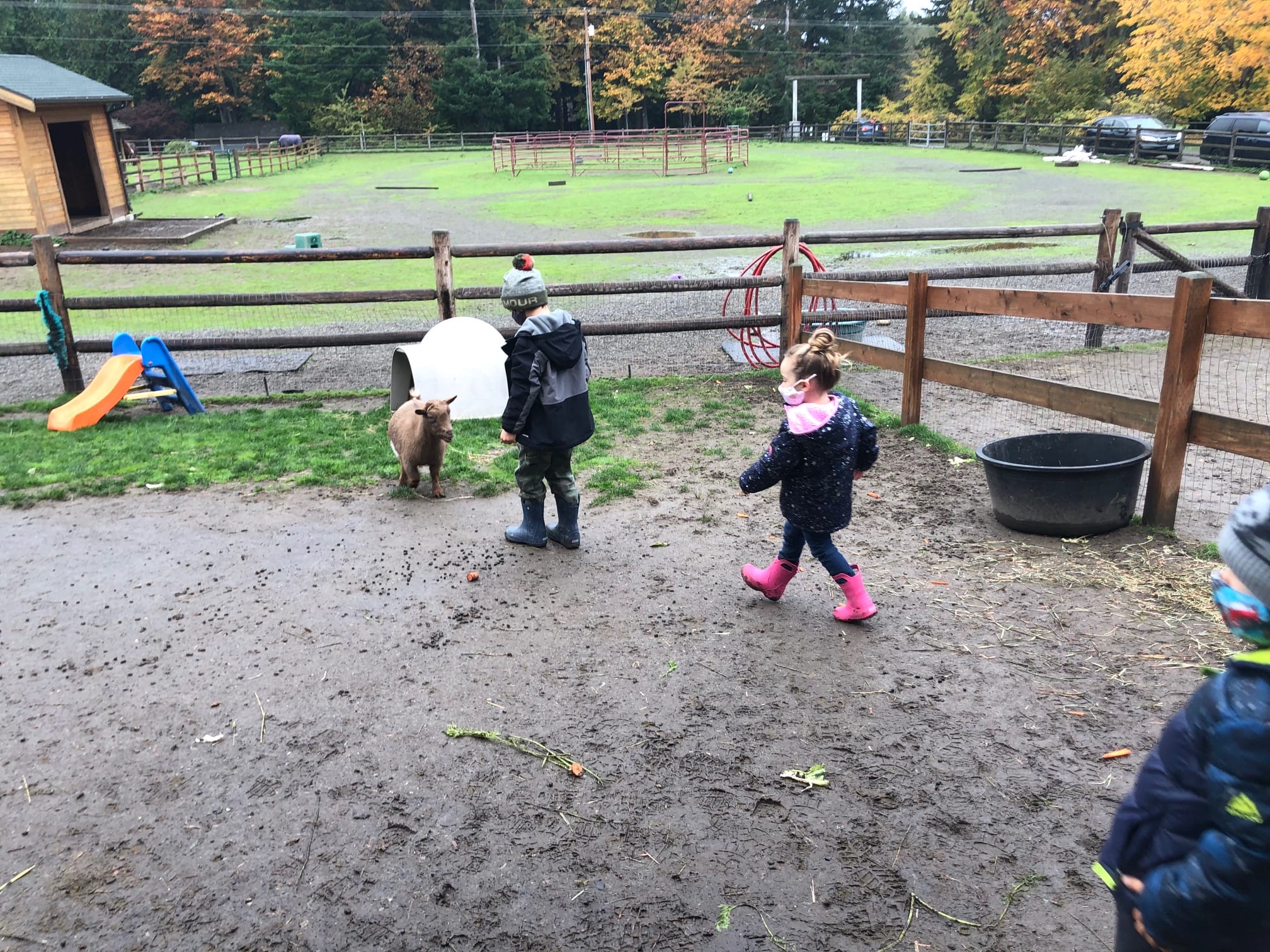 Sammamish farm